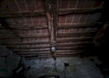 20241217_160811.jpg - Terratetto - Terracielo Via di Balbano, Lucca - foto 13