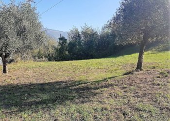 2.jpg - Terreno edificabile Via delle Viottole 226, Viareggio - foto 2