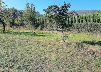 4.jpg - Terreno edificabile Via delle Viottole 226, Viareggio - foto 4