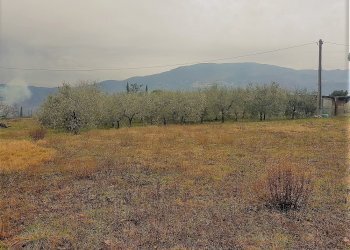 6.jpg - Terreno edificabile Via delle Viottole 226, Viareggio - foto 6