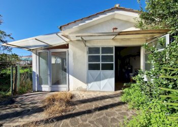 20241111_113548.jpg - Terratetto - Terracielo Via Pasquinetti, Lucca - foto 4