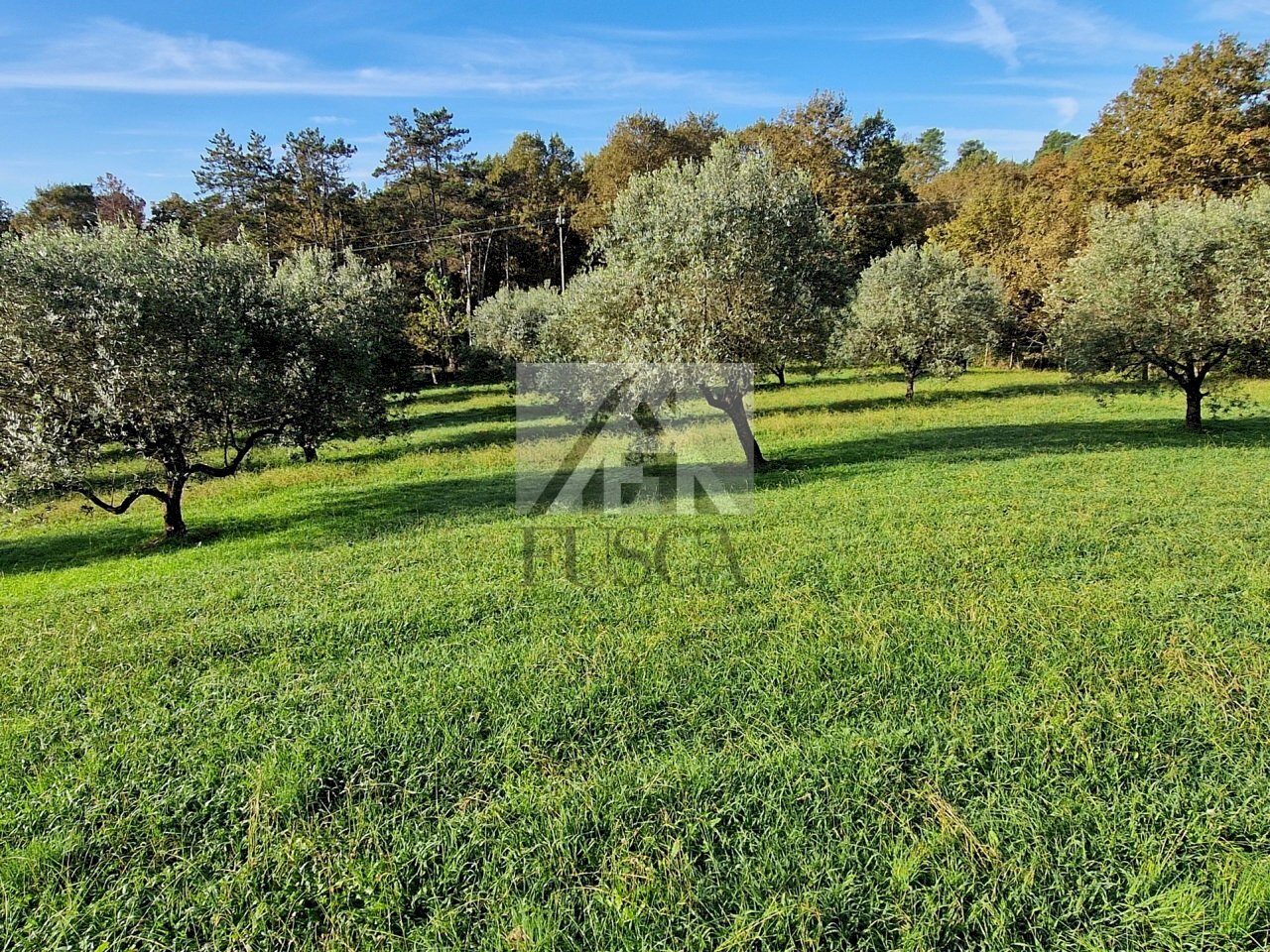 villa-lusso-lucca-fusca-vendita_6.jpg - Villa Via di Sant'Alessio, Lucca - foto 3