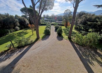 20241107_094725.jpg - Villa Via di Sant'Alessio, Lucca - foto 4