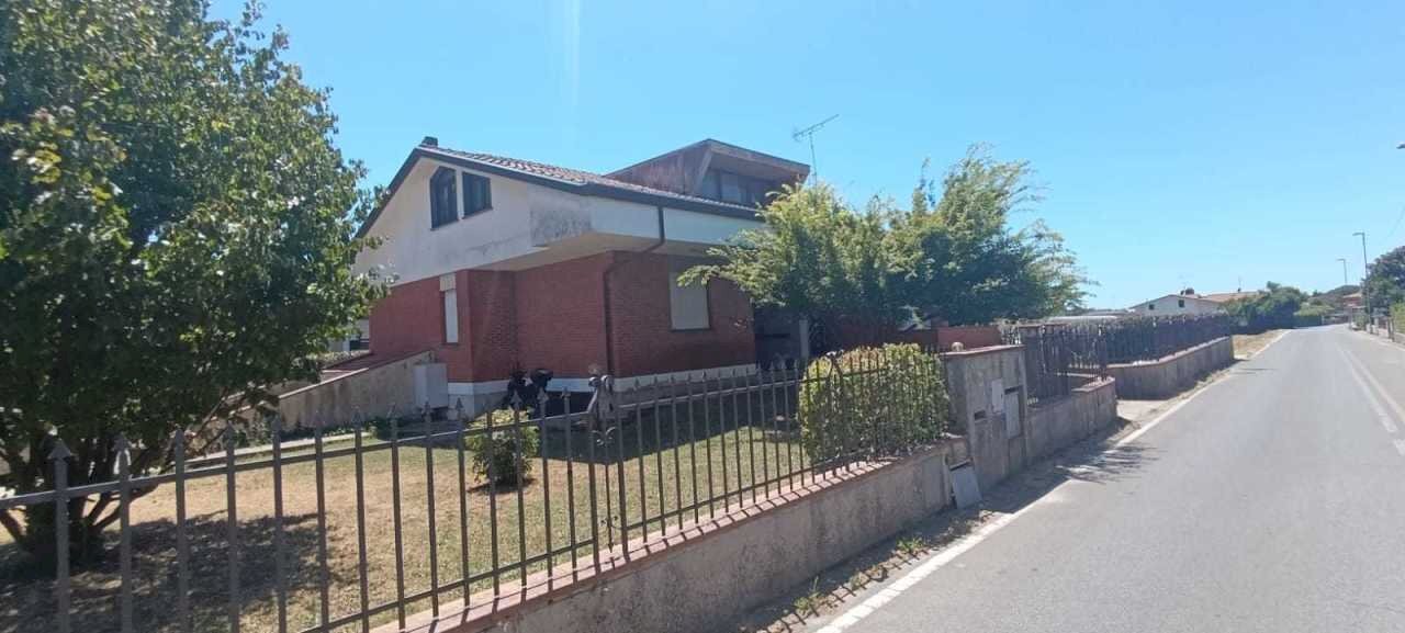 IMG-20250630-WA0006.jpg - Villa Massarosa - photo 1