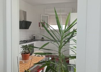 IMG20250725122853.jpg - Casa semi indipendente Viareggio - foto 9