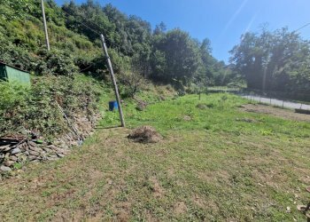 terreno_fronte.jpg - Villa Follo - foto 13