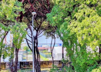 5.jpg - Quadrilocale Carrara - foto 17