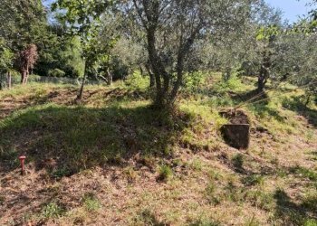 IMG-20250714-WA0064.jpg - Casa semi indipendente Bagnone - foto 30