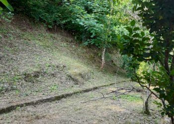 IMG-20250624-WA0015.jpg - Casale Fivizzano - foto 17