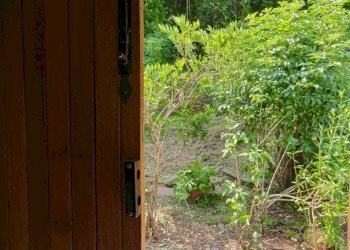 IMG-20250624-WA0018.jpg - Casale Fivizzano - foto 19