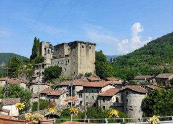 IMG-20250624-WA0054.jpg - Casale Fivizzano - foto 24