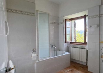 IMG-20250619-WA0011.jpg - Casa semi indipendente Licciana Nardi - foto 17