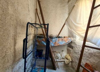 IMG-20250514-WA0074.jpg - Terratetto - Terracielo Tresana - foto 21