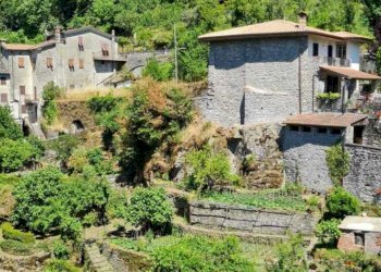 IMG-20250519-WA0039.jpg - Porzione di casa Bagnone - foto 2