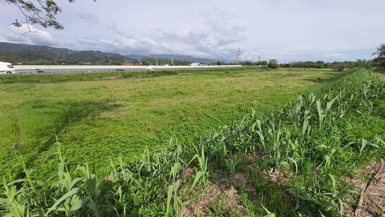 2222.jpg - Terreno agricolo Santo Stefano di Magra - foto 2