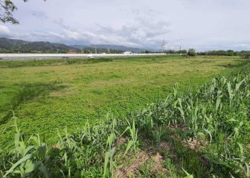 2222.jpg - Terreno agricolo Santo Stefano di Magra - foto 2