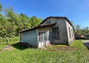 9aee4a9e-da86-44d5-8e23-909745f76b06.jpg - Rustico Sarzana - foto 3