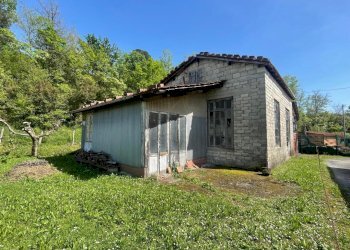 e143db7f-ccfe-4e1a-b814-139519881ef9.jpg - Rustico Sarzana - foto 5