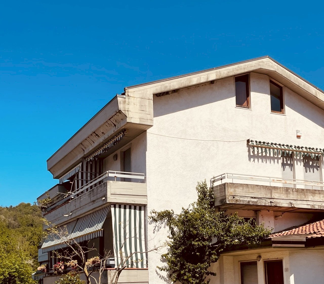 IMG_6279.jpg - Appartamento Luni - foto 2