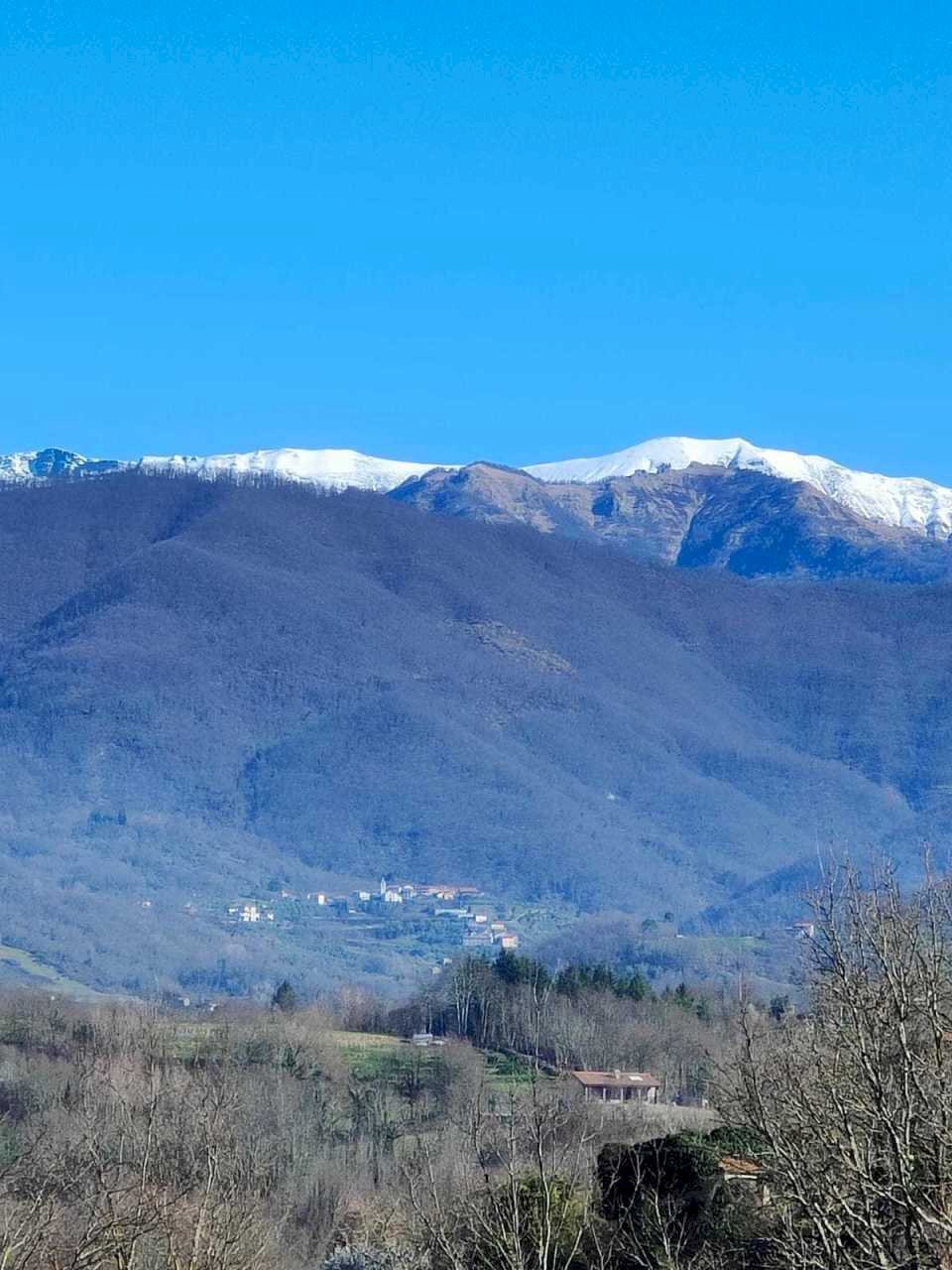 IMG-20250305-WA0096.jpg - Villa Licciana Nardi - foto 2