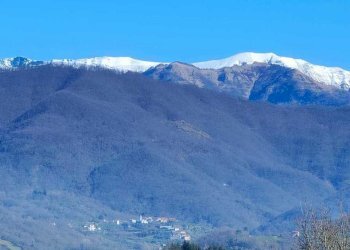 IMG-20250305-WA0096.jpg - Villa Licciana Nardi - foto 2