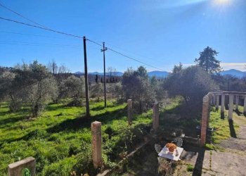 IMG-20250305-WA0011.jpg - Casa indipendente Licciana Nardi - foto 7