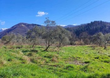 IMG-20250305-WA0036.jpg - Casa indipendente Licciana Nardi - foto 8