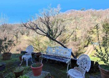 IMG-20250305-WA0047.jpg - Casa indipendente Licciana Nardi - foto 10