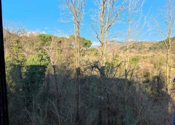 IMG-20250227-WA0032.jpg - Two-room apartment Licciana Nardi - photo 13