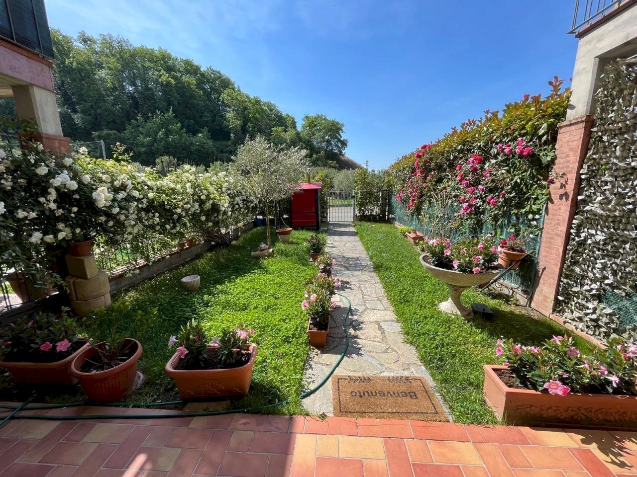 esterno alib.jpeg - Casa semi indipendente Podenzana - foto 3