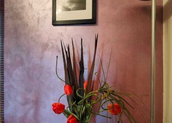 IMG-20250225-WA0023.jpg - Terratetto - Terracielo Aulla - foto 15