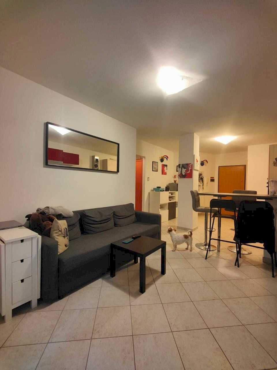 IMG-20250224-WA0054.jpg - Quadrilocale Licciana Nardi - foto 2