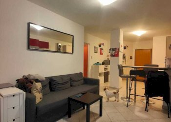 IMG-20250224-WA0054.jpg - Quadrilocale Licciana Nardi - foto 2