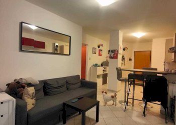 IMG-20250224-WA0052.jpg - Quadrilocale Licciana Nardi - foto 4