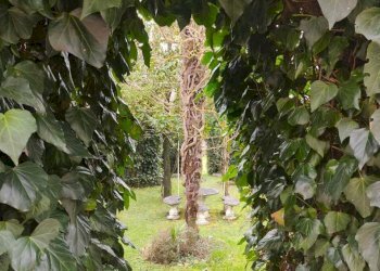 IMG-20250218-WA0048.jpg - Villa Fivizzano - foto 5