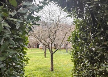 IMG-20250218-WA0041.jpg - Villa Fivizzano - foto 7