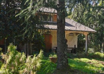 IMG-20250922-WA0293.jpg - Villa Licciana Nardi - foto 4