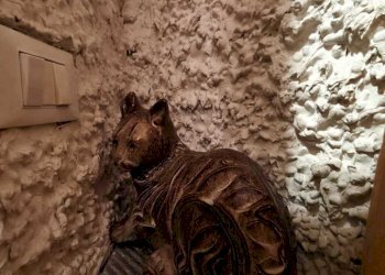 IMG-20250922-WA0245.jpg - Villa Licciana Nardi - foto 23