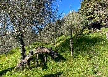 IMG-20210322-WA0020.jpg - Porzione di casa Fivizzano - foto 15