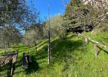 IMG-20210322-WA0021.jpg - Porzione di casa Fivizzano - foto 16