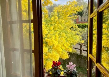 IMG_2536_jpg.jpg - Casa semi indipendente Fivizzano - foto 25