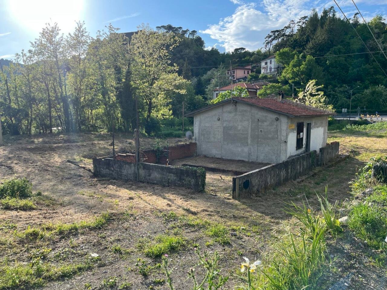 Immagine WhatsApp 2025-05-09 ore 18.45.31_fb938267 - Agricultural land Aulla - photo 3