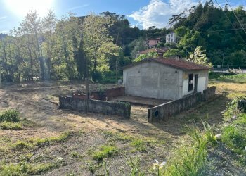 Immagine WhatsApp 2025-05-09 ore 18.45.31_fb938267 - Terreno agricolo Aulla - foto 3