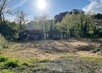 Immagine WhatsApp 2025-05-09 ore 18.45.32_f1f0d86c - Terreno agricolo Aulla - foto 4