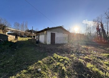 IMG_5901.JPG - Terreno agricolo Aulla - foto 5