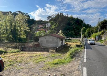 Immagine WhatsApp 2025-05-09 ore 18.45.32_a1d81fed - Terreno agricolo Aulla - foto 6