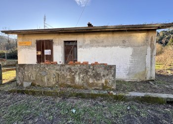 IMG_5900.JPG - Terreno agricolo Aulla - foto 7