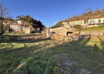 IMG_5902.JPG - Terreno agricolo Aulla - foto 8