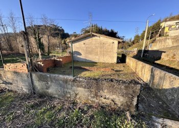 IMG_5903 2.JPG - Terreno agricolo Aulla - foto 9