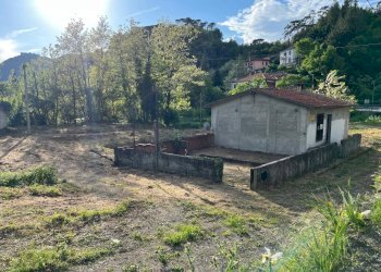 Immagine WhatsApp 2025-05-09 ore 18.45.19_274149a1 - Terreno agricolo Aulla - foto 10